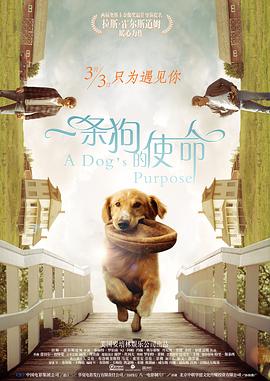 免费下载电影完整版