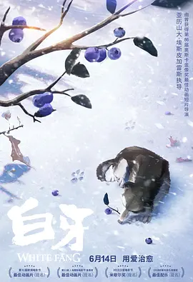 国产入口在线观看
