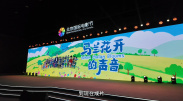 英语老师的小兔子