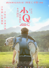 致命女人第一季在线看免费高清
