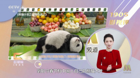 天天爱天天操